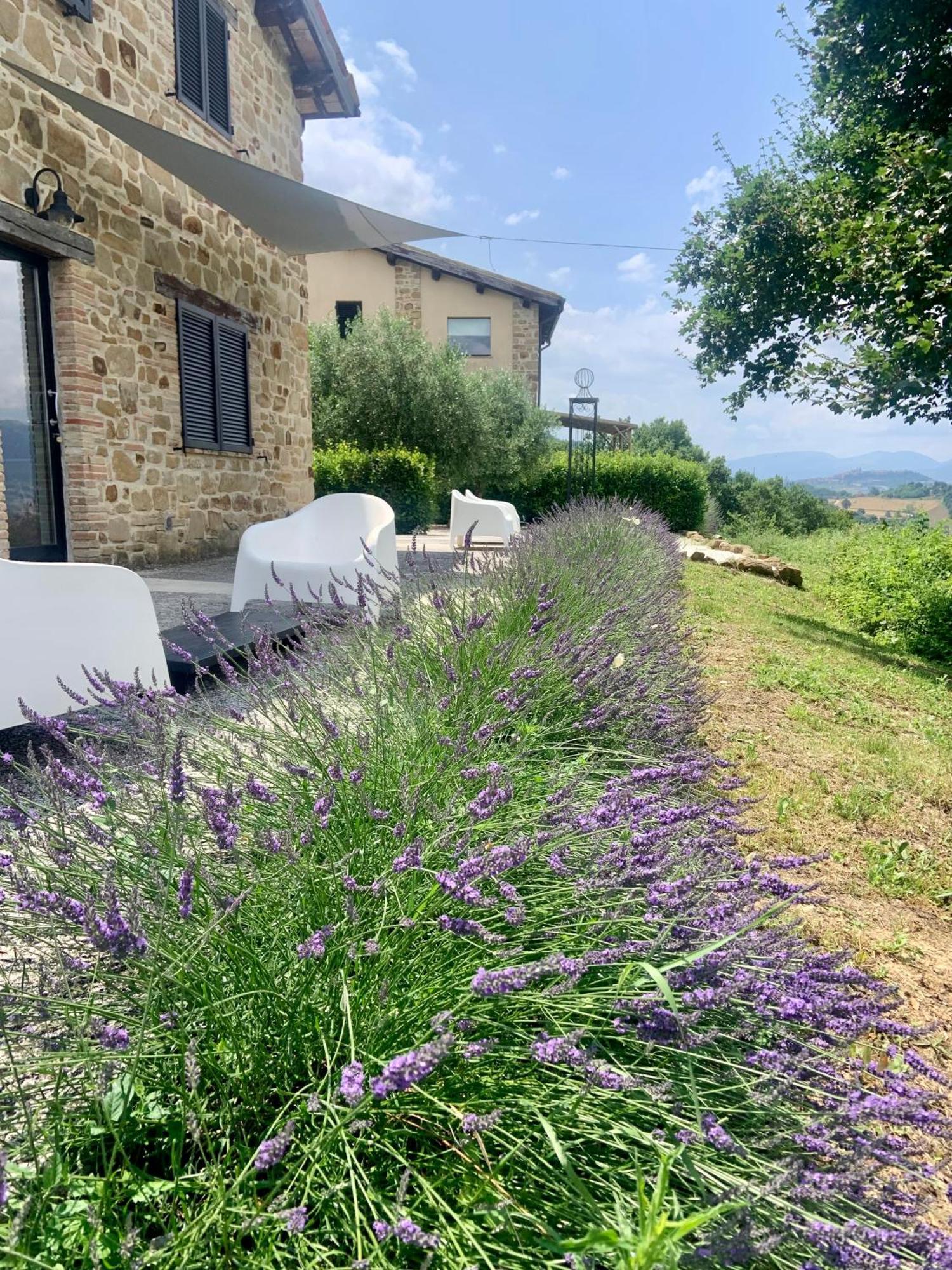 Borgo Crispiero Bed & Breakfast Exterior photo
